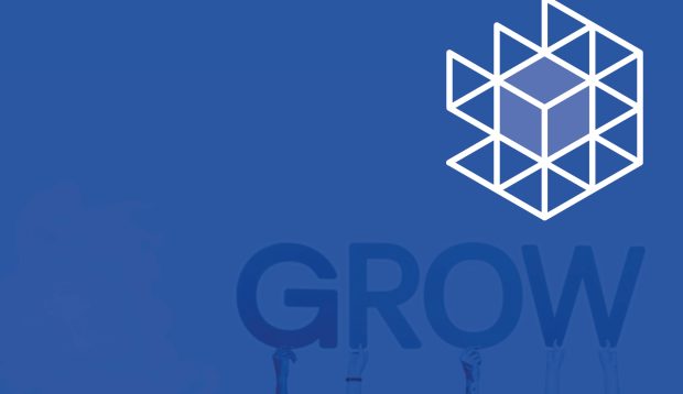 BitGrow Desenvolvimento de Softwares e Sistemas